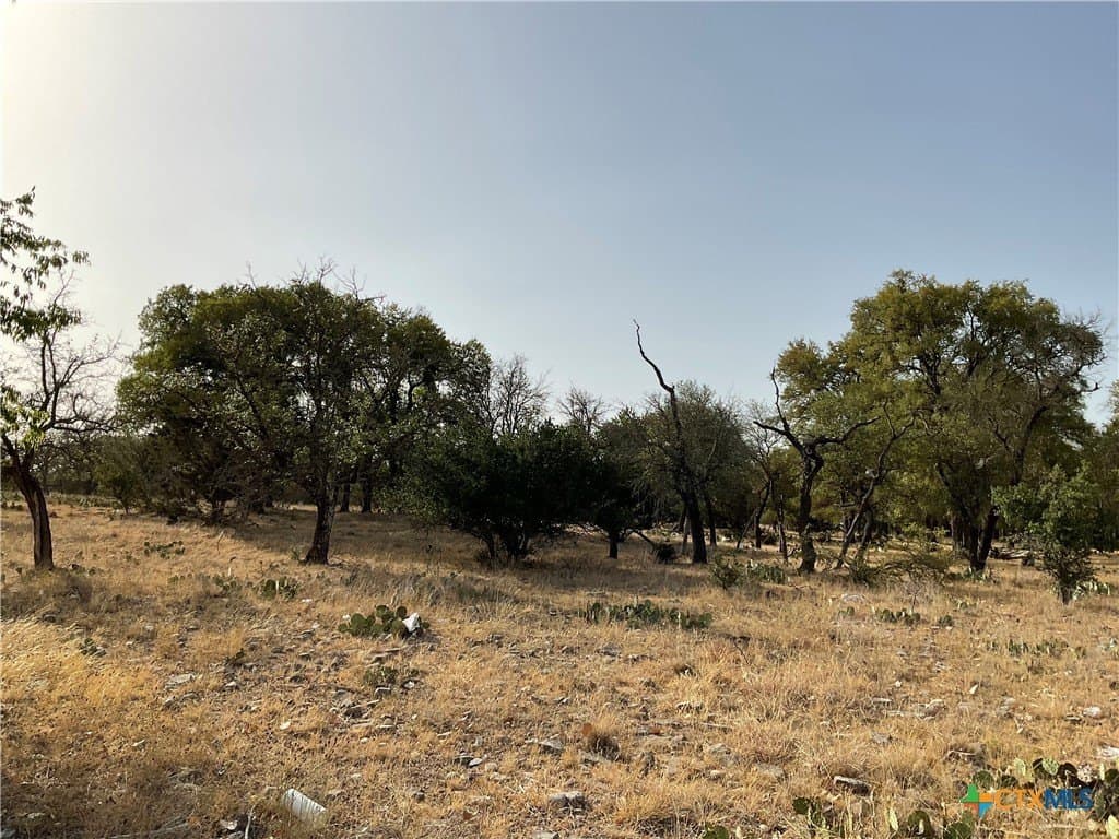 88 acres in Burnet County gallery image 4