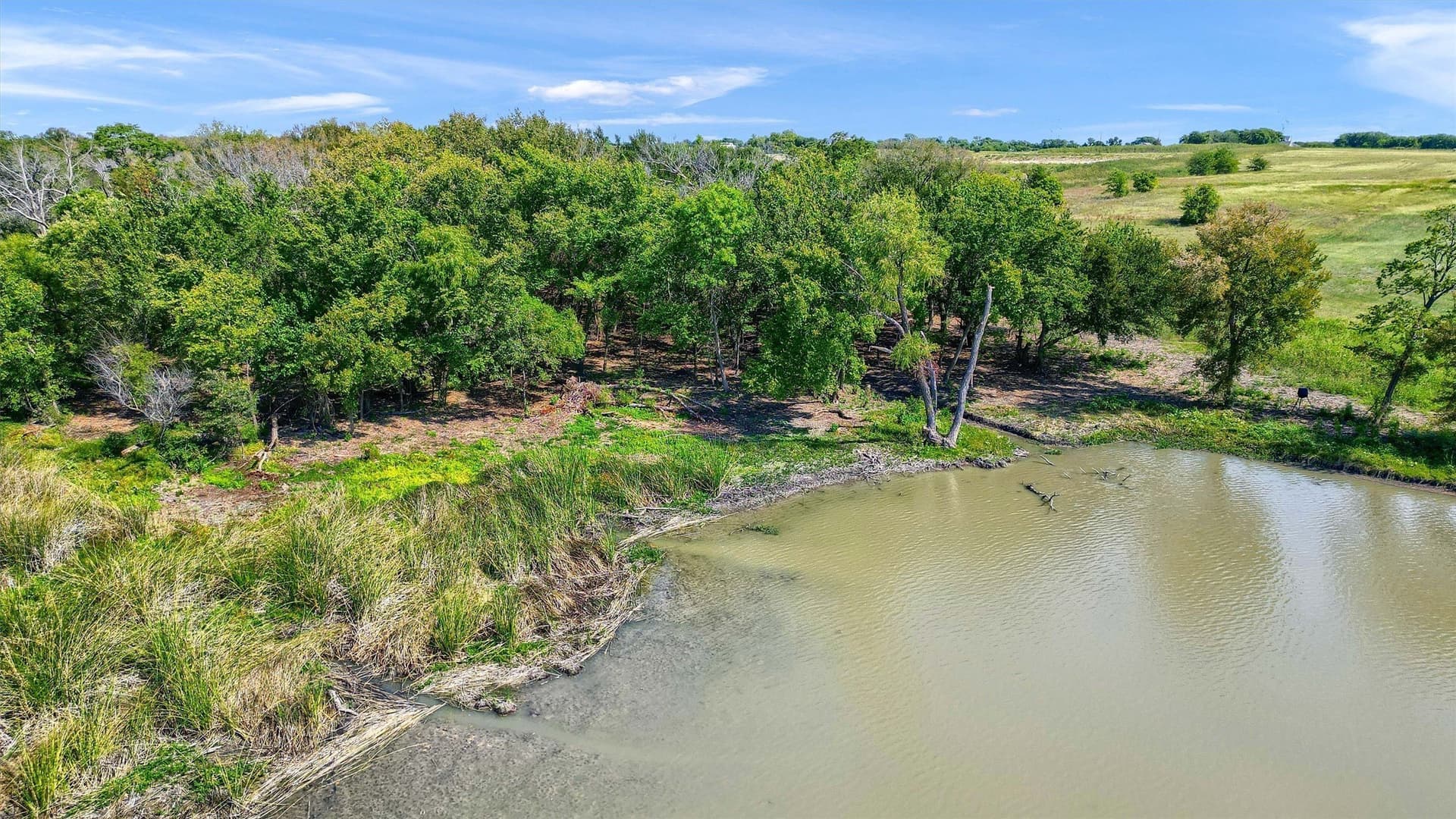 12 acres in Collin County - photo 15