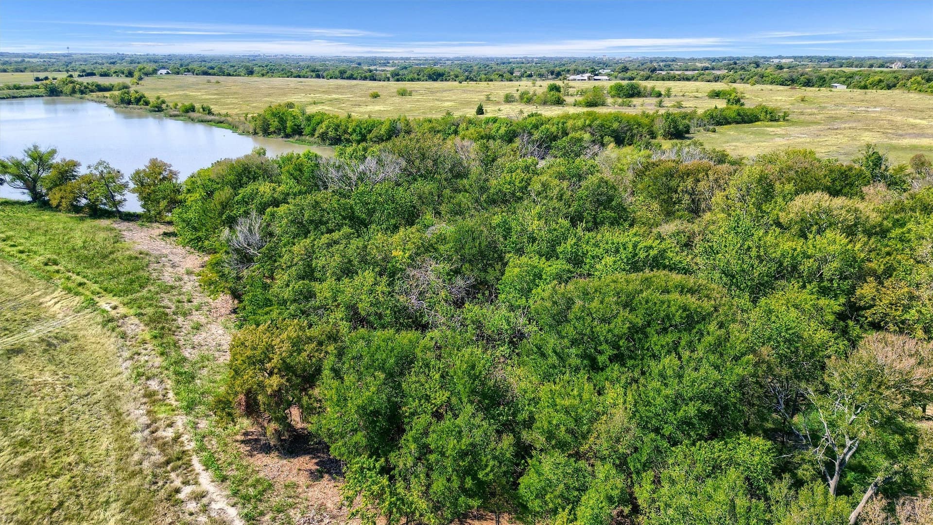 12 acres in Collin County - photo 10
