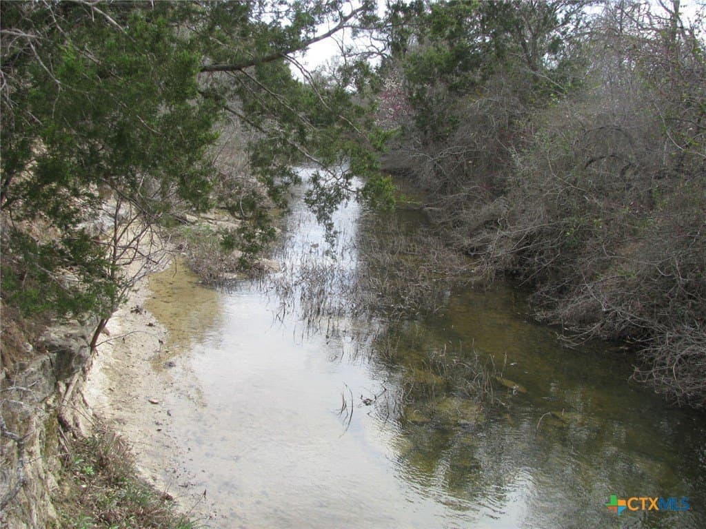 125 acres in Coryell County gallery image 4