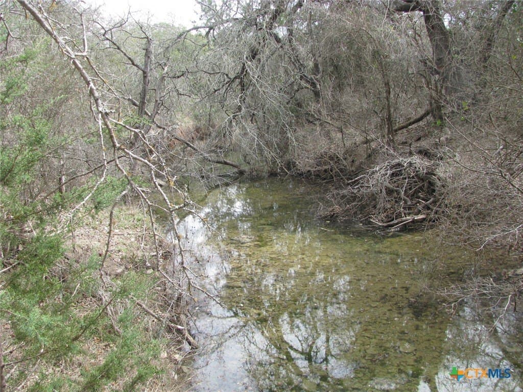 125 acres in Coryell County - photo 12