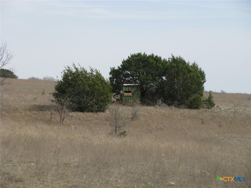 125 acres in Coryell County - photo 22
