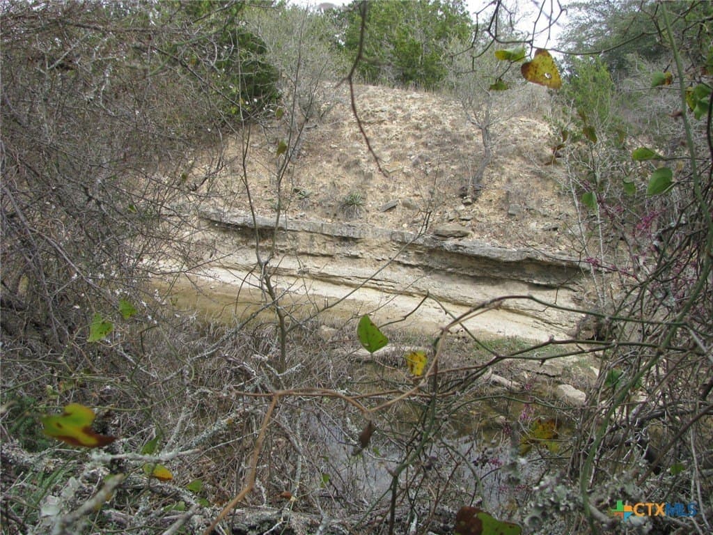 125 acres in Coryell County - photo 11