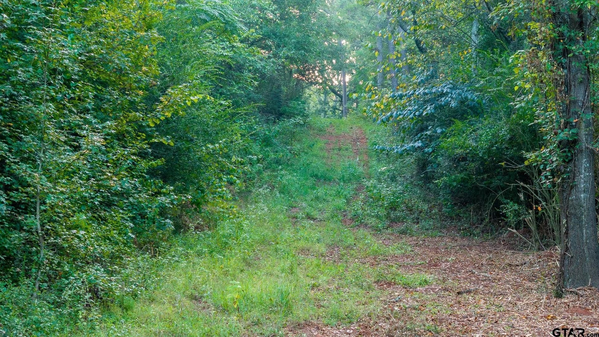 265 acres in Smith County featured view