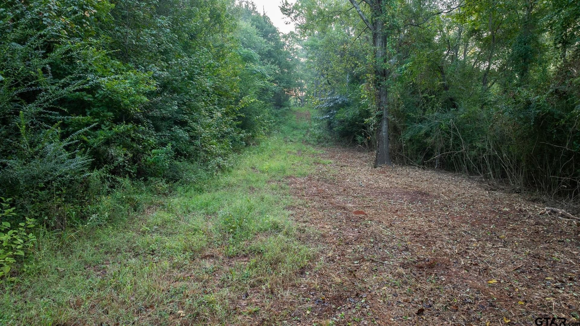 265 acres in Smith County gallery image 4