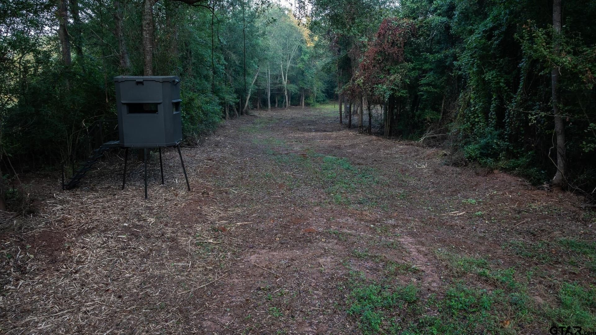 265 acres in Smith County gallery image 3