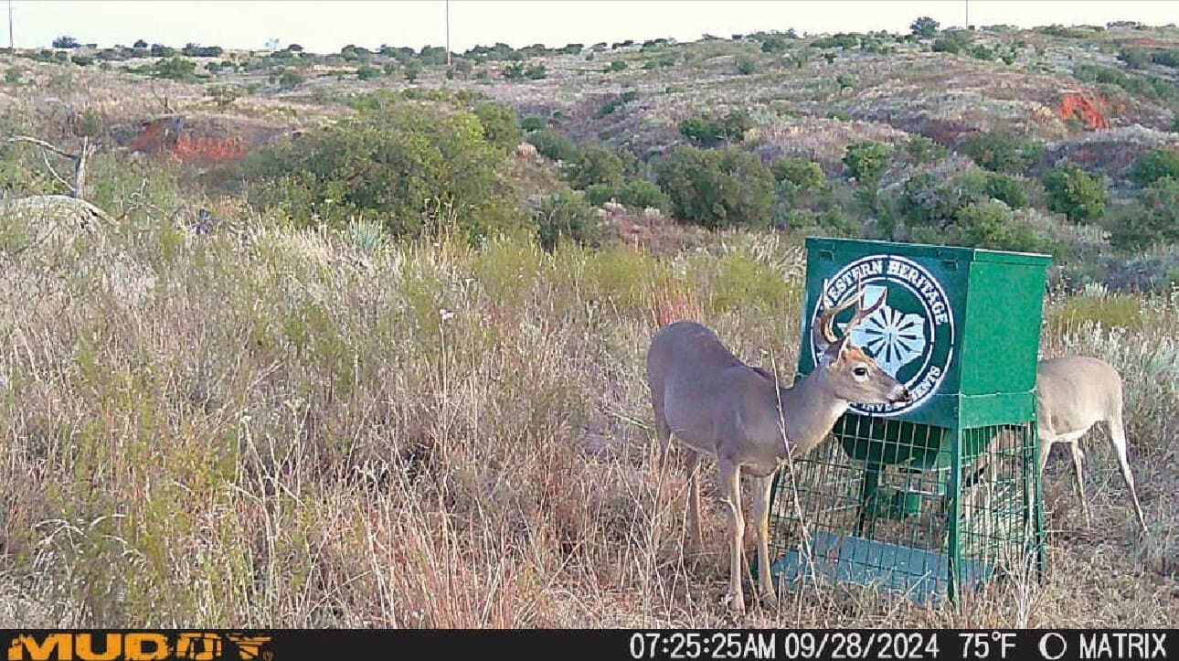 603.96 acres in Hall County - photo 69