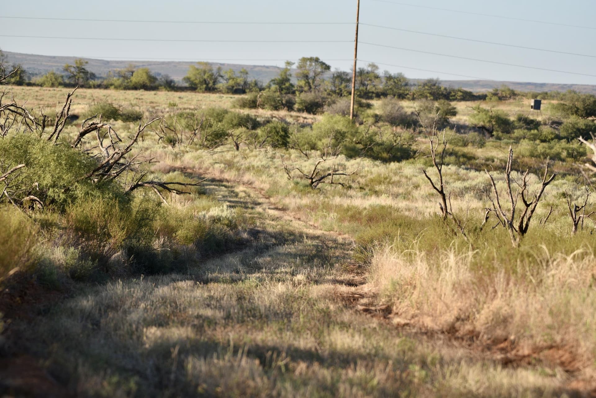 603.96 acres in Hall County - photo 40