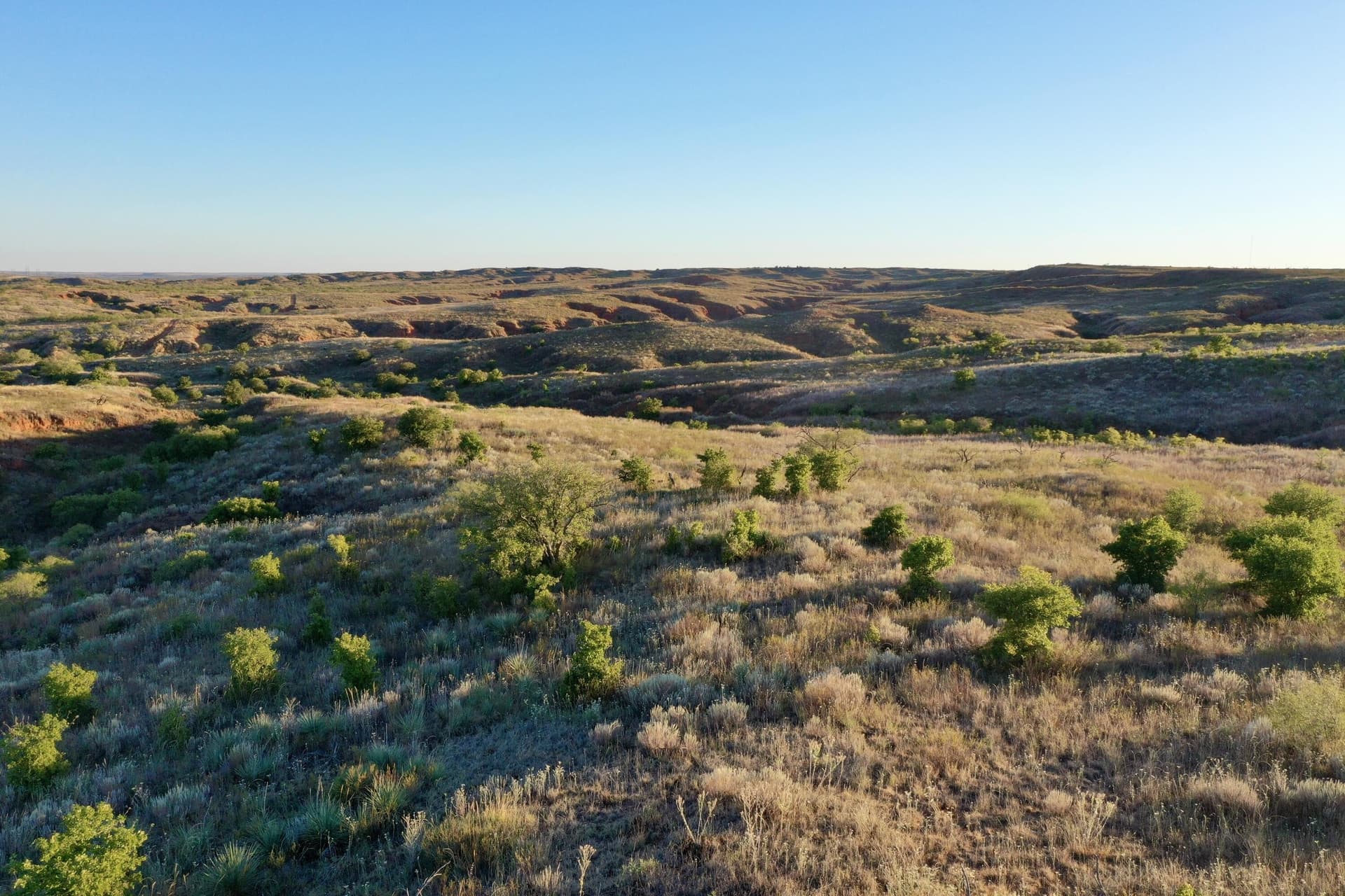603.96 acres in Hall County - photo 5