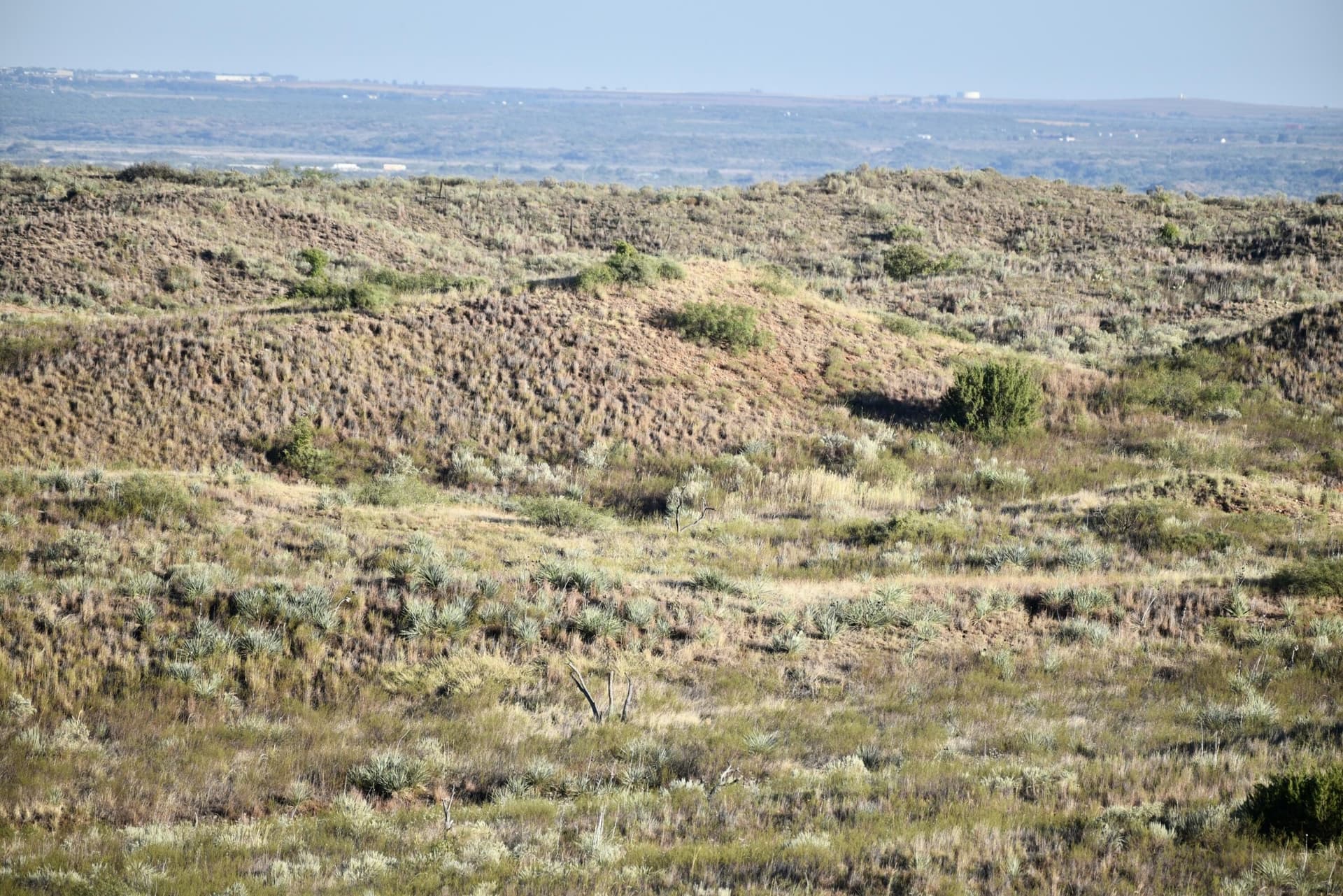 603.96 acres in Hall County - photo 33