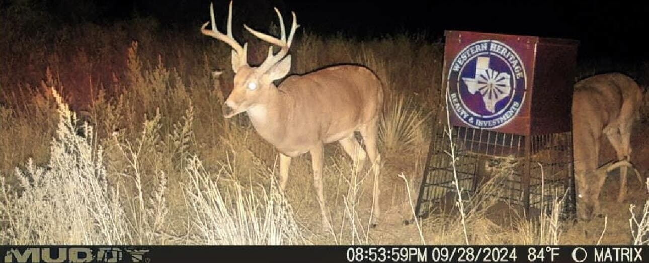 603.96 acres in Hall County - photo 70
