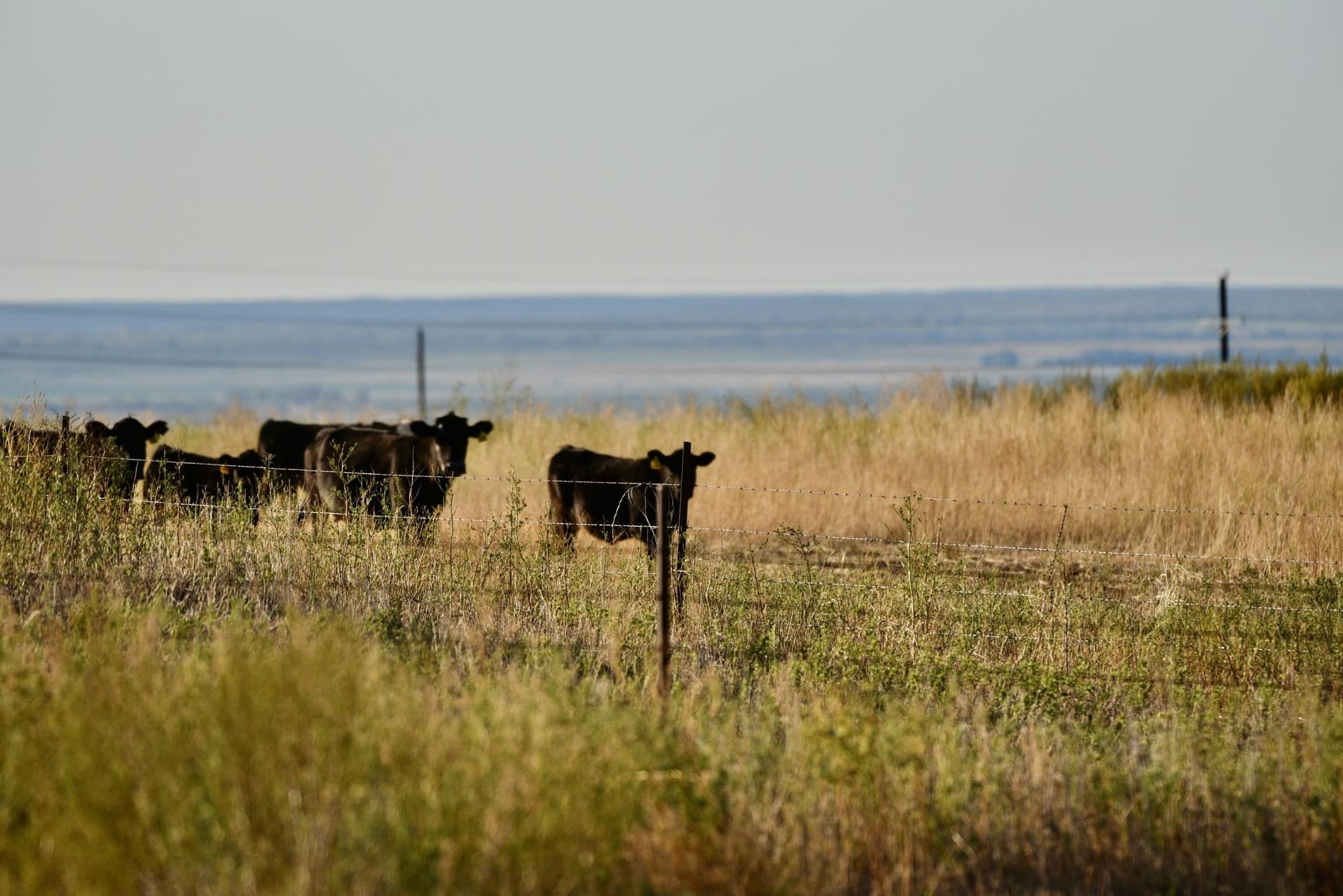 603.96 acres in Hall County - photo 50