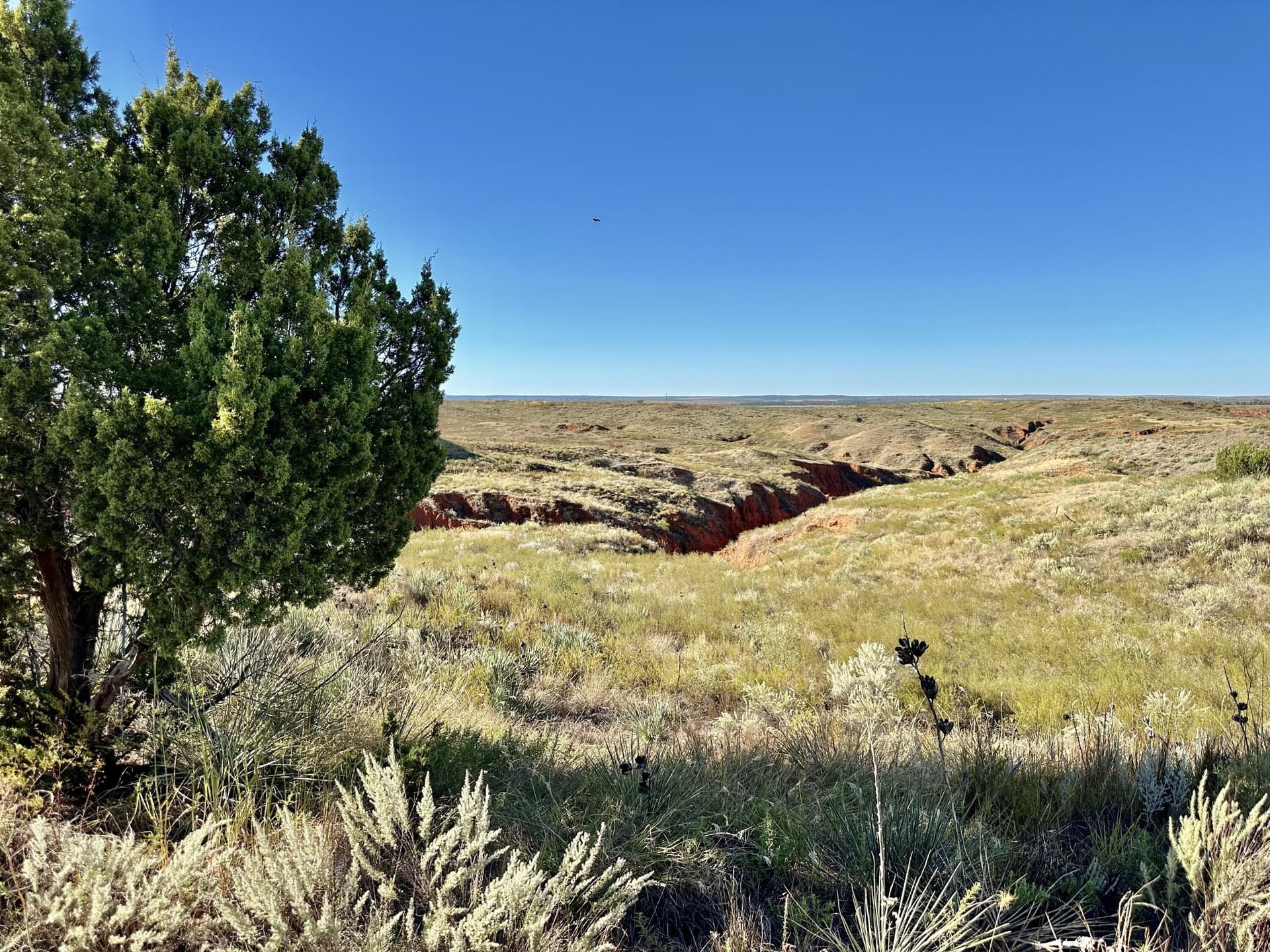 603.96 acres in Hall County - photo 59