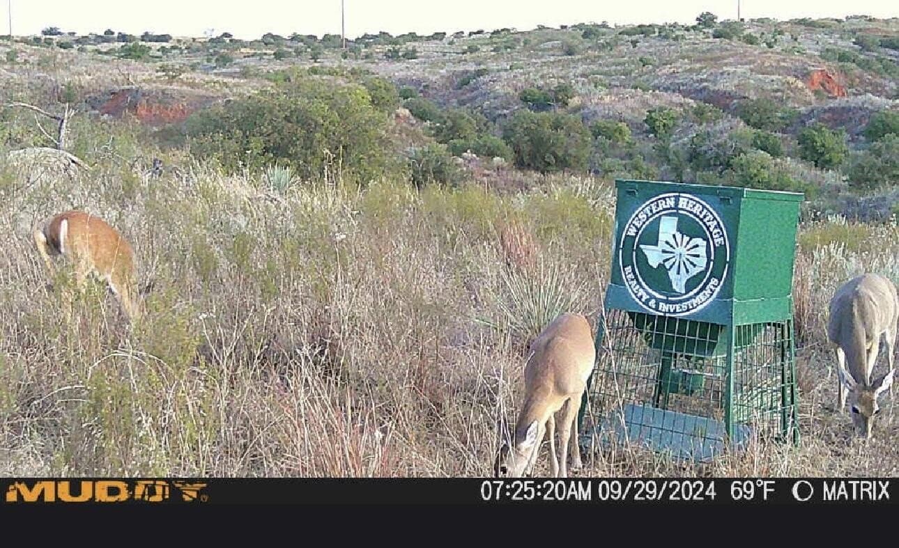 603.96 acres in Hall County - photo 71