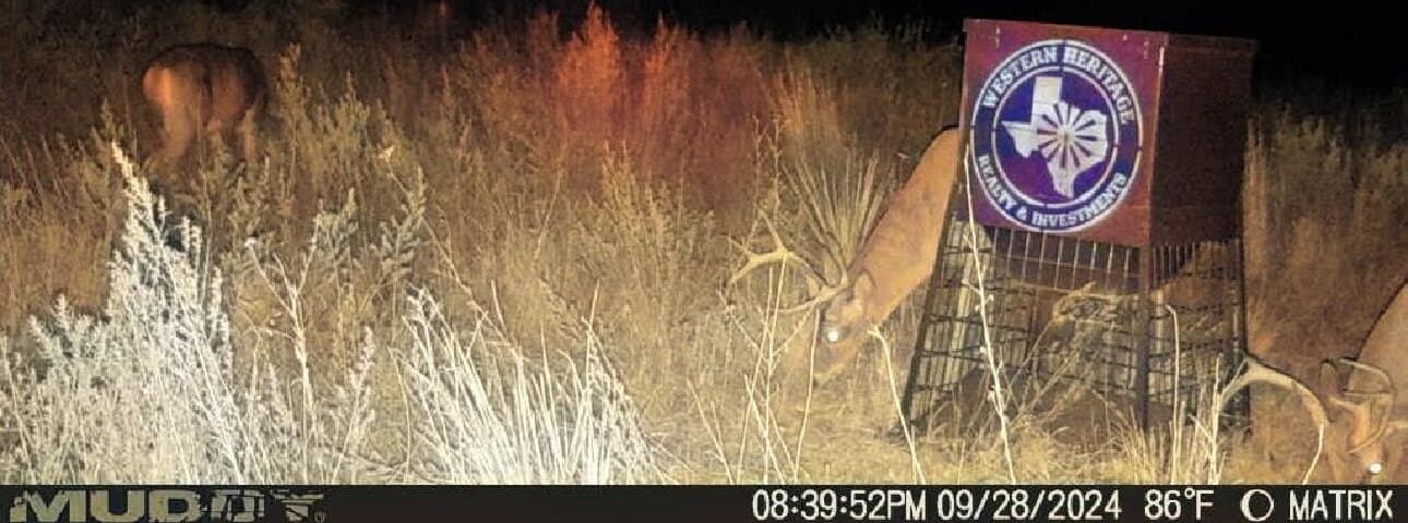 603.96 acres in Hall County - photo 72