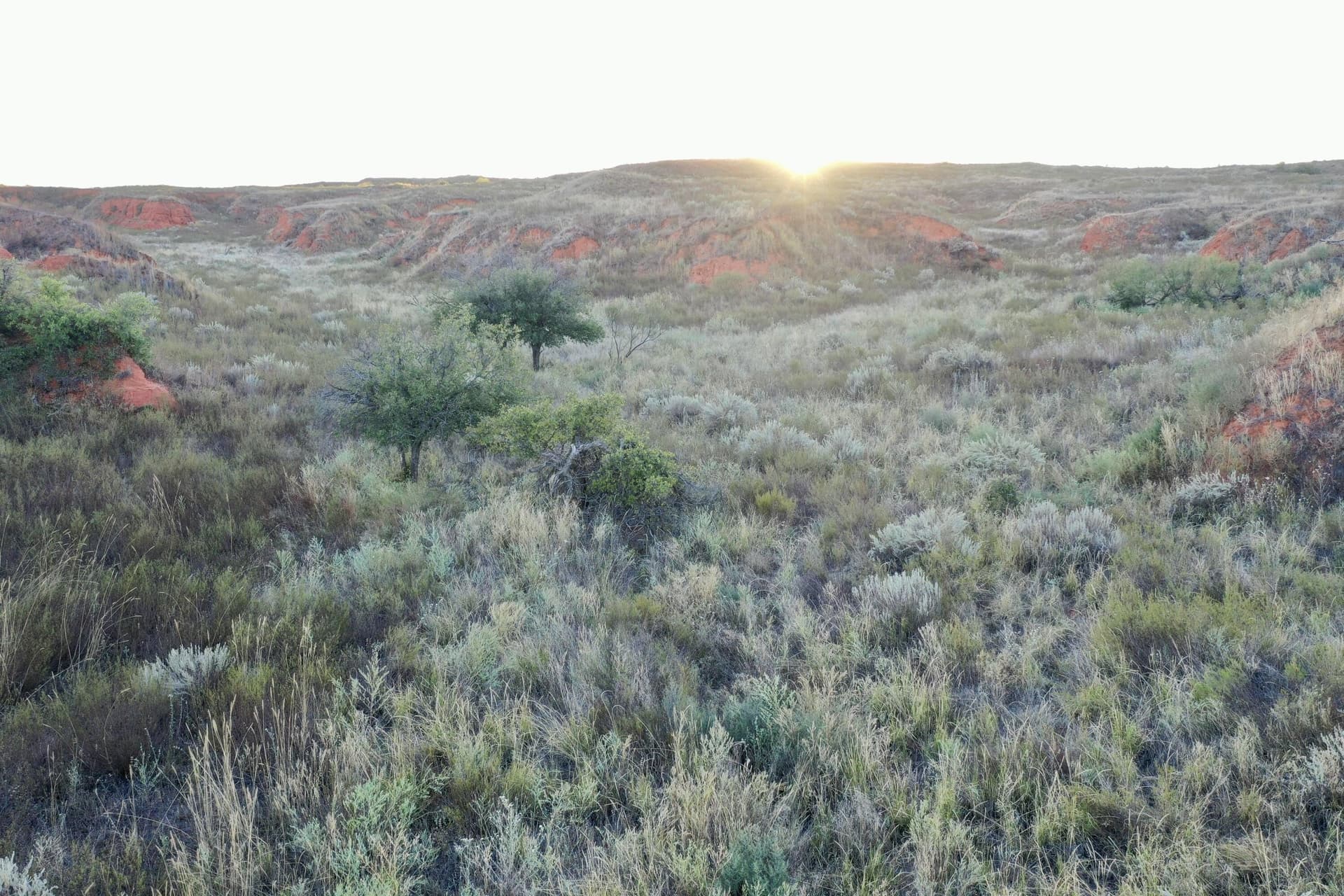 603.96 acres in Hall County - photo 10