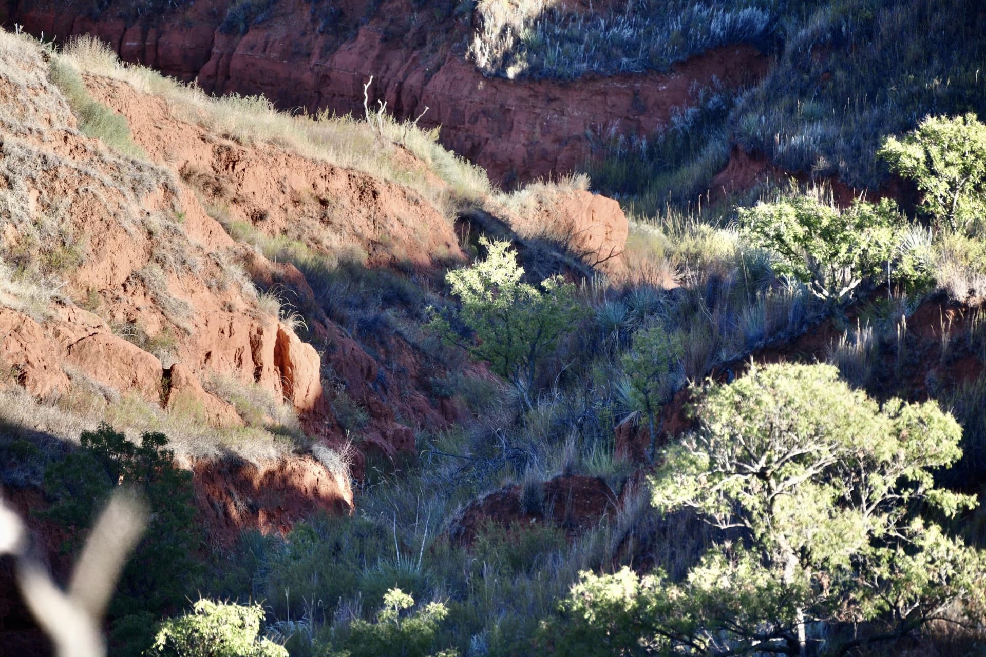 603.96 acres in Hall County - photo 32
