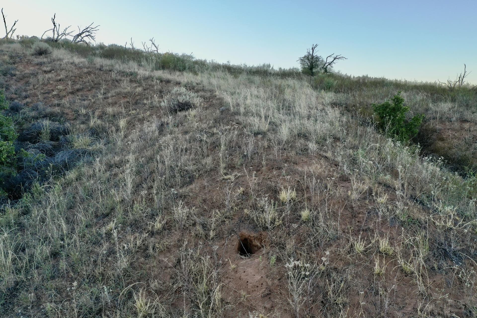 603.96 acres in Hall County - photo 12