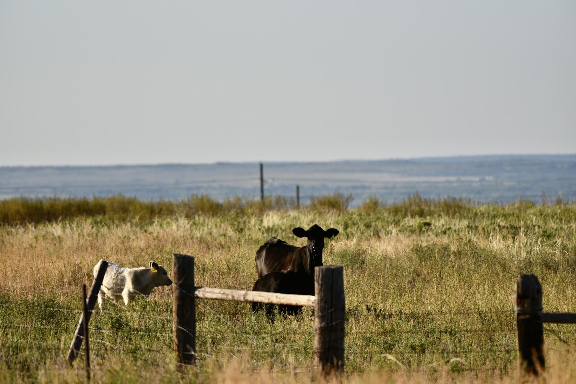 603.96 acres in Hall County - photo 51