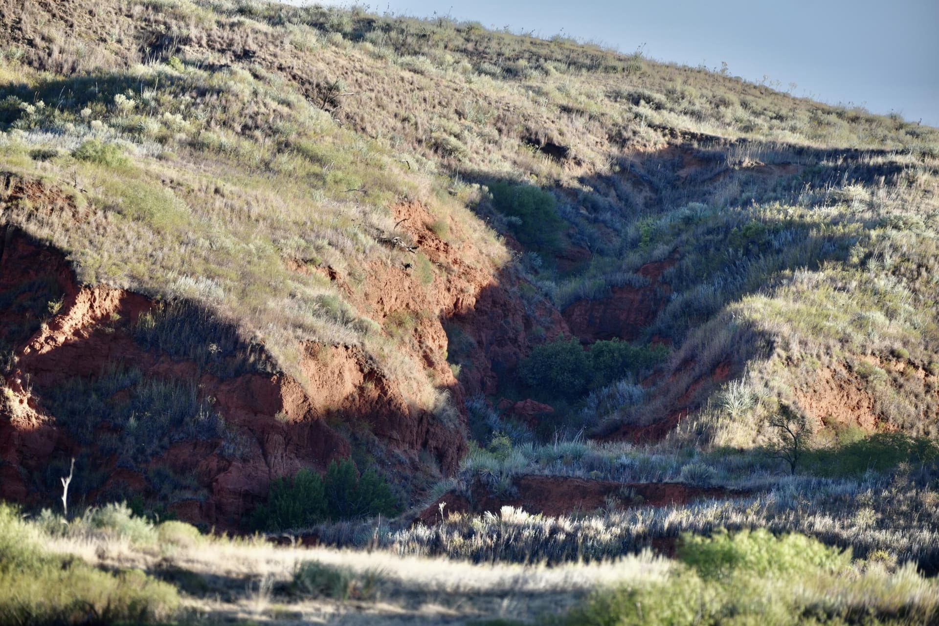 603.96 acres in Hall County - photo 34