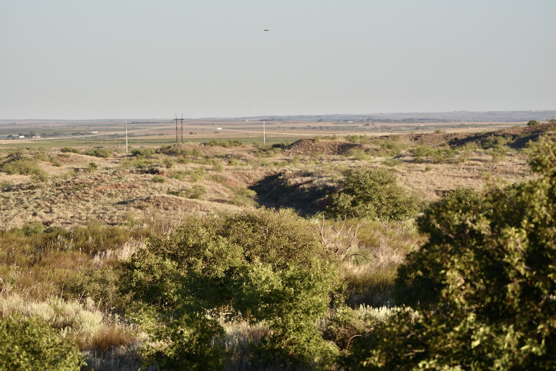 603.96 acres in Hall County - photo 41