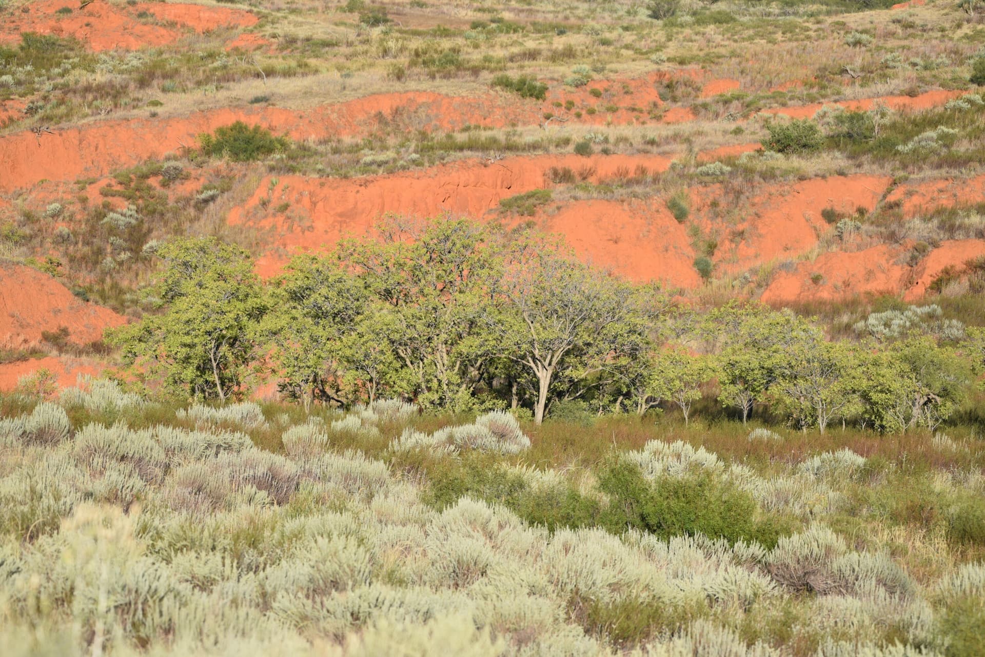 603.96 acres in Hall County - photo 31