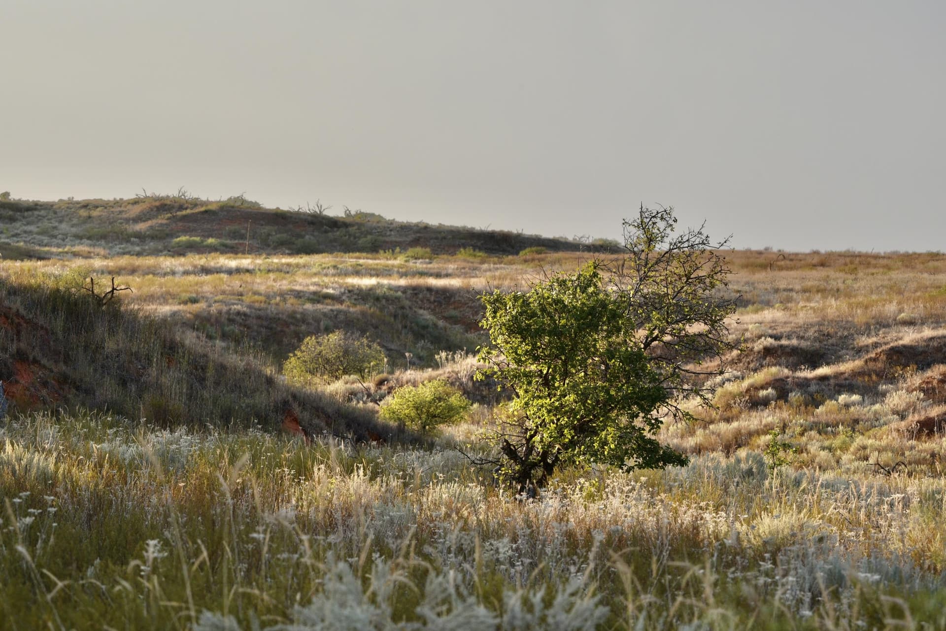 603.96 acres in Hall County - photo 55