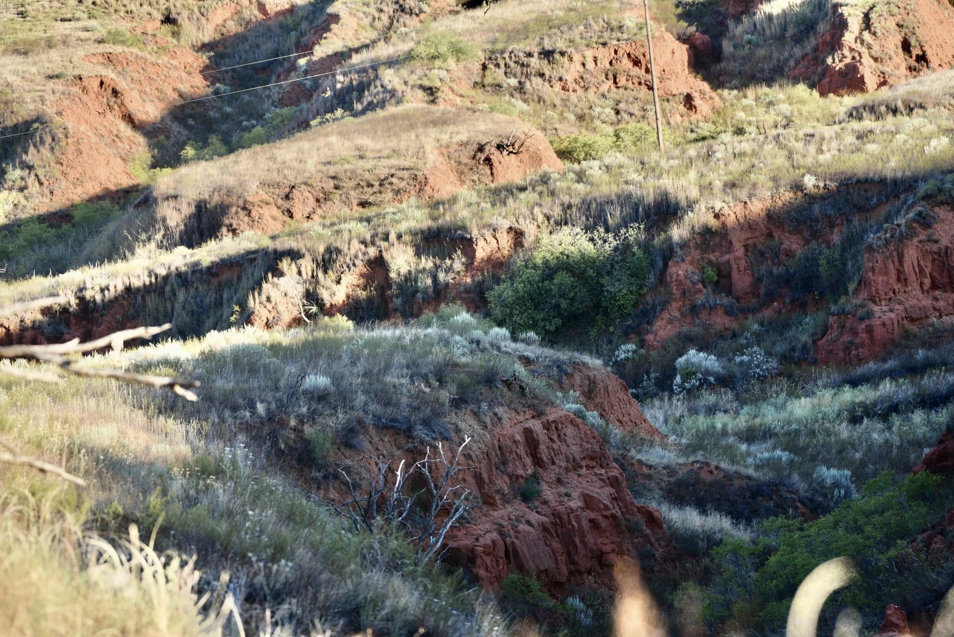 603.96 acres in Hall County - photo 39
