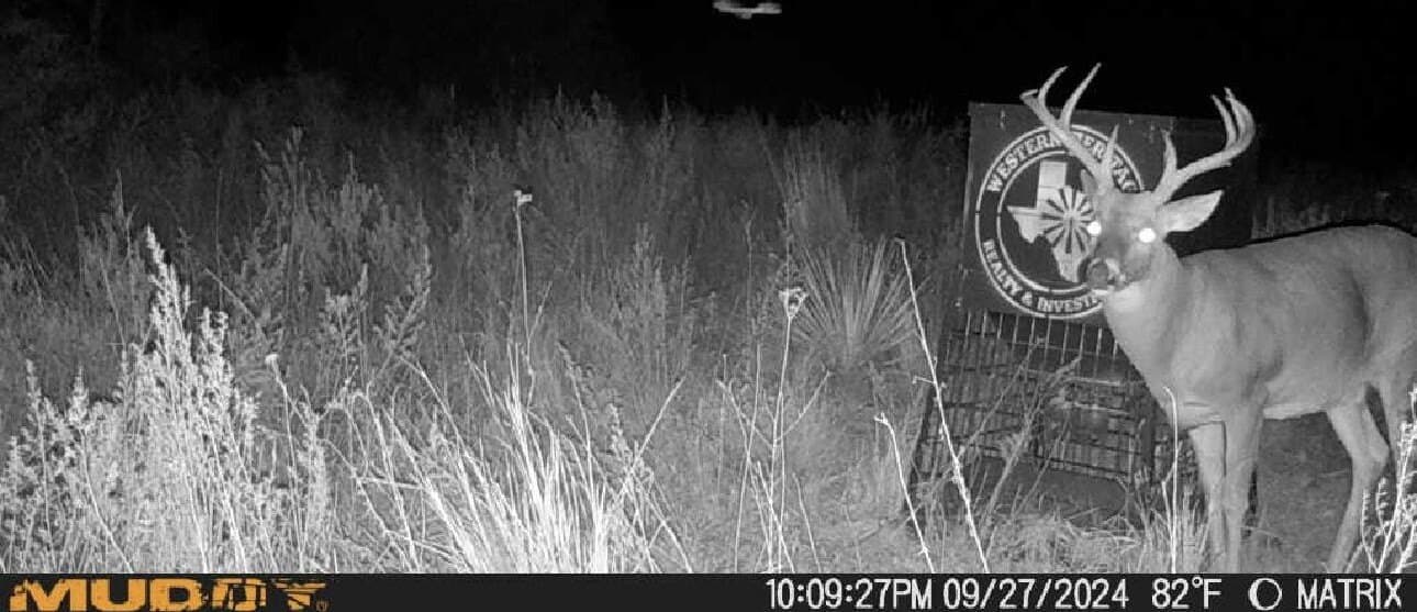 603.96 acres in Hall County - photo 68