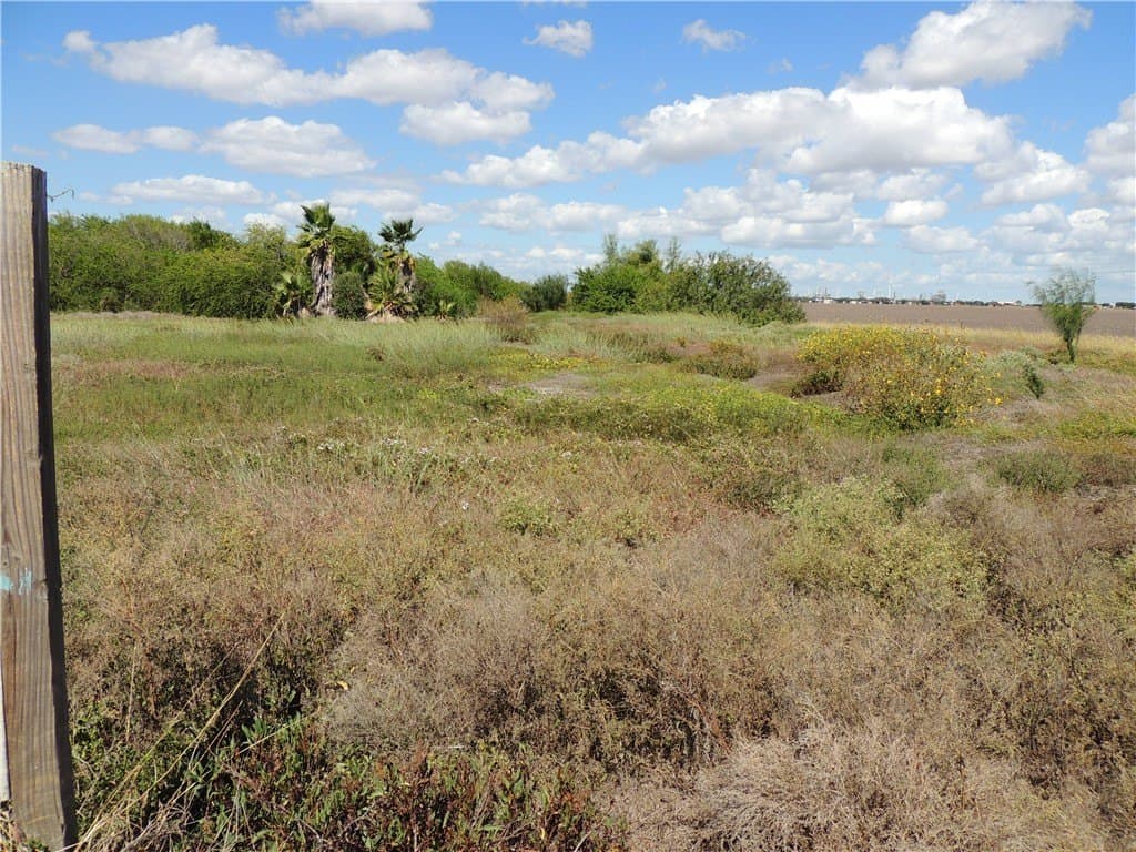 11 acres in San Patricio County - photo 8