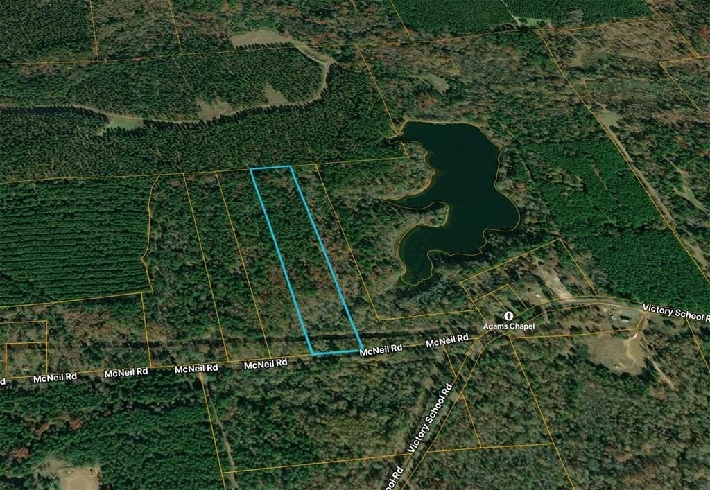 50 acres in Marion County gallery image 3