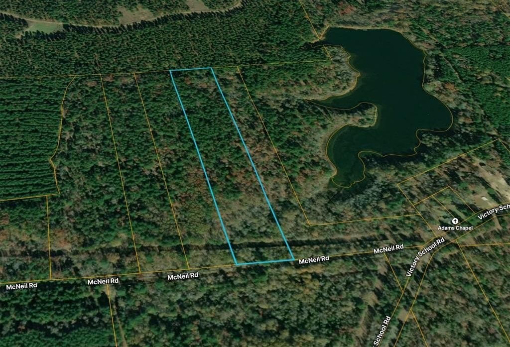 50 acres in Marion County gallery image 2
