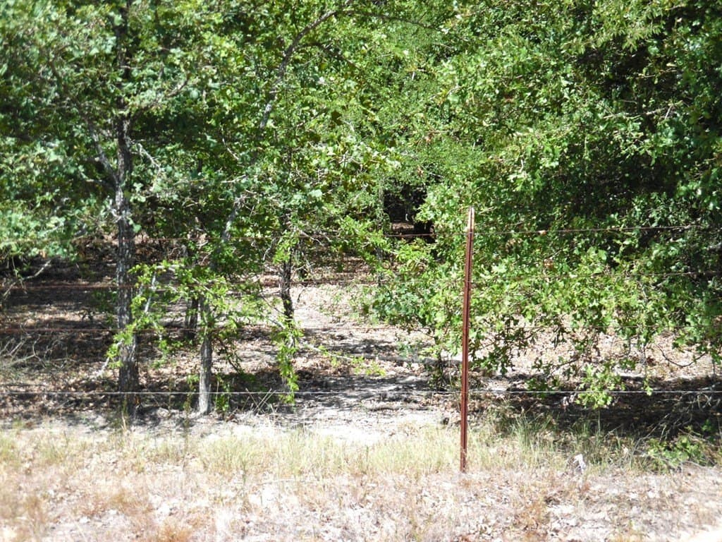 17.64 acres in Henderson County featured view