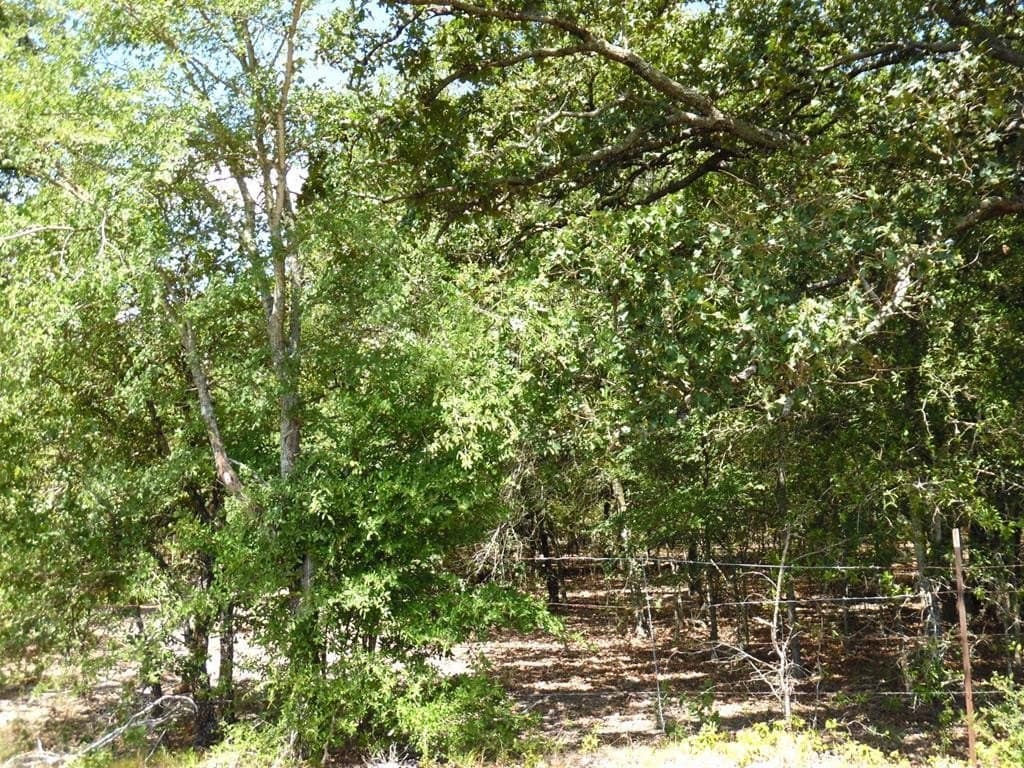 17.64 acres in Henderson County gallery image 2