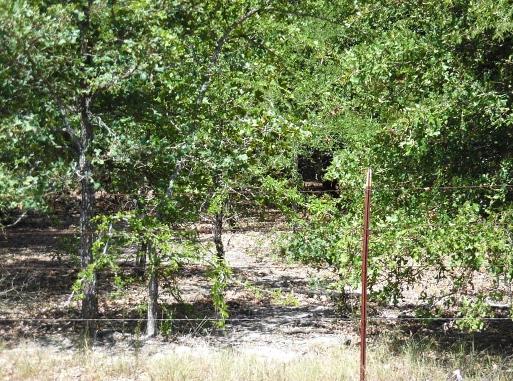 17.64 acres in Henderson County gallery image 4