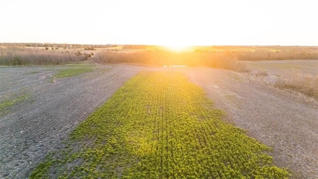 58.05 acres in Delta County gallery image 4