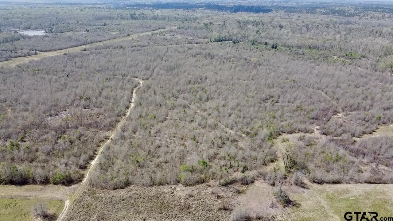 159.7 acres in Harrison County gallery image 3