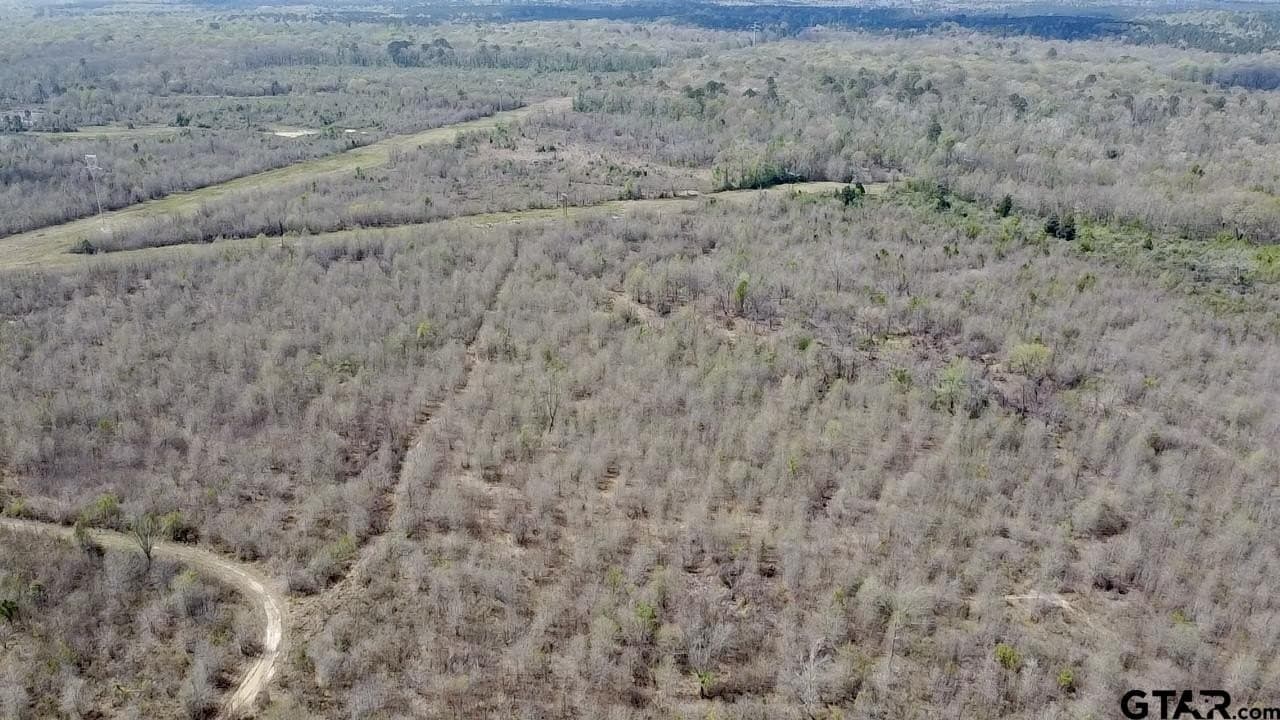 159.7 acres in Harrison County gallery image 4