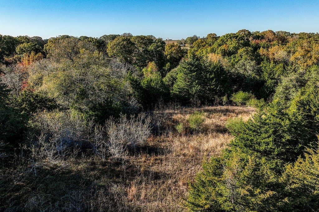 118.75 acres in Fayette County - photo 10