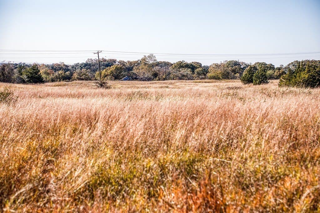 118.75 acres in Fayette County - photo 7