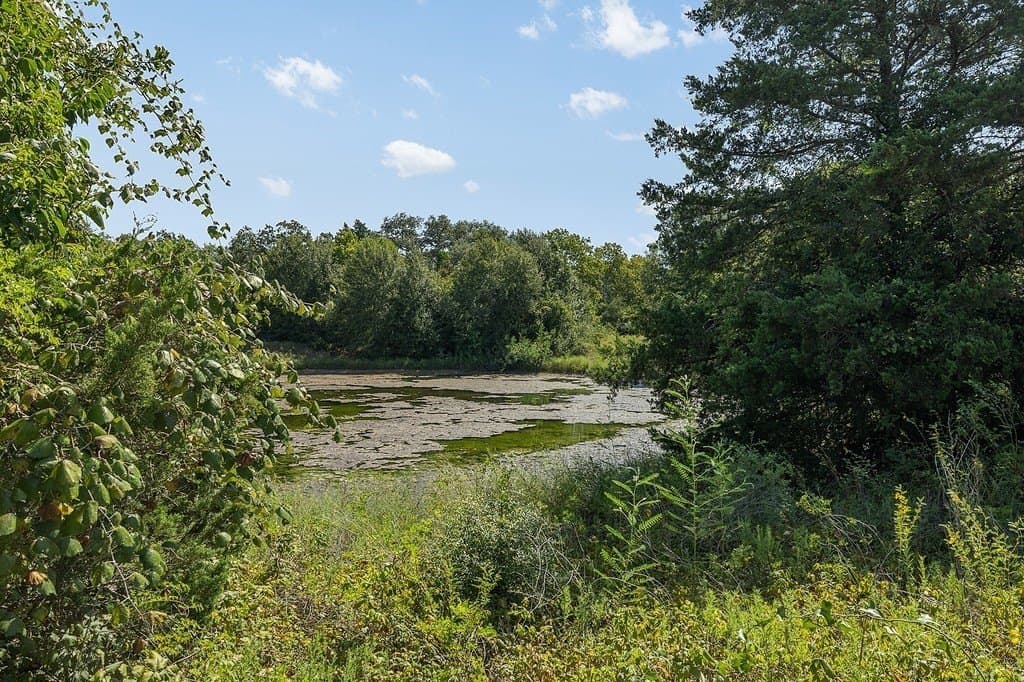 15.82 acres in Fayette County - photo 29