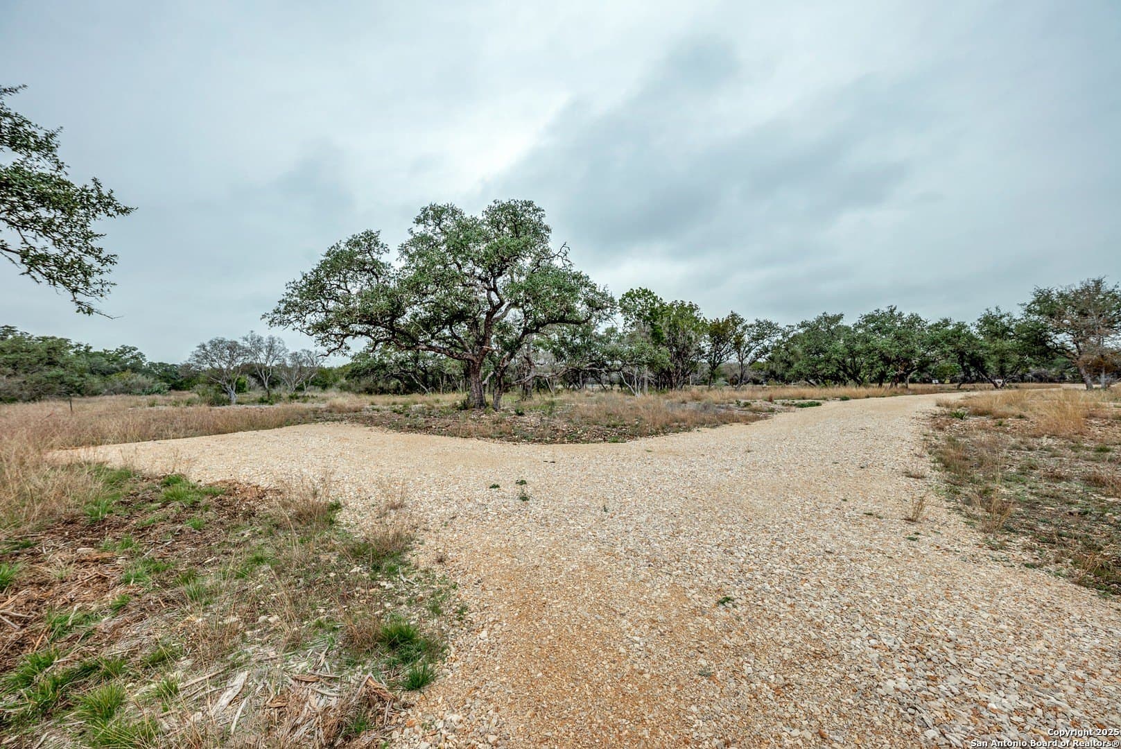 6.03 acres in Medina County featured view