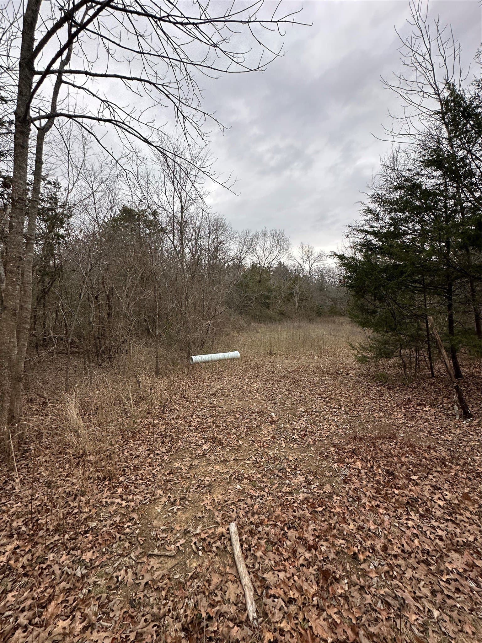 0.17 acres in Grayson County - photo 8