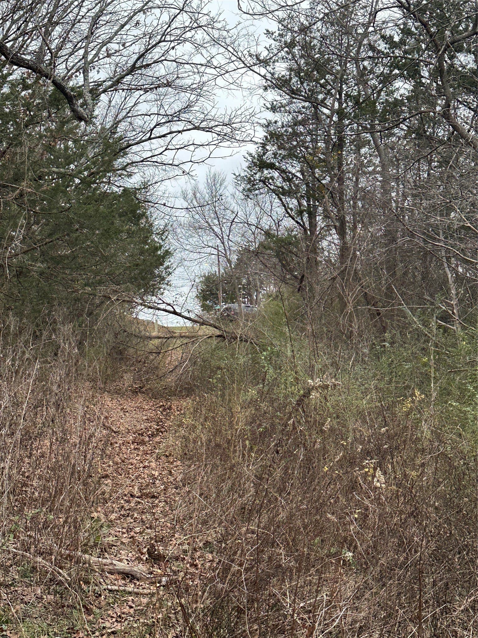 0.17 acres in Grayson County - photo 3