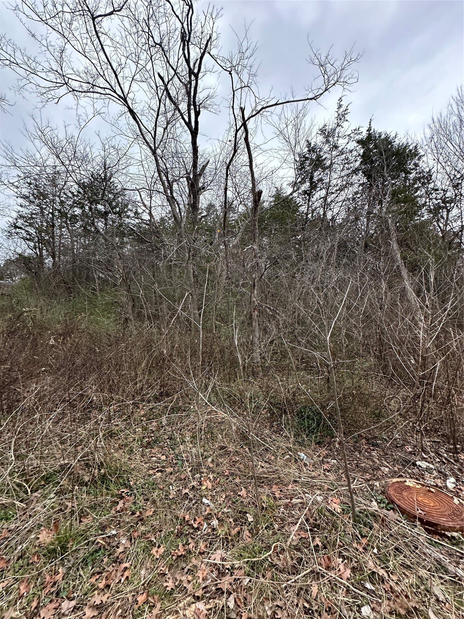 0.17 acres in Grayson County - photo 4