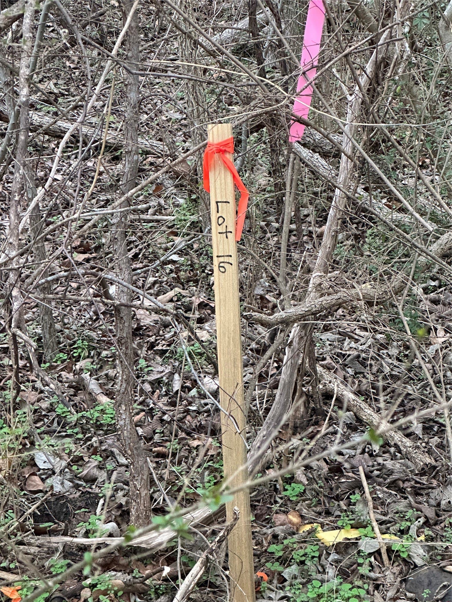 0.17 acres in Grayson County - photo 5