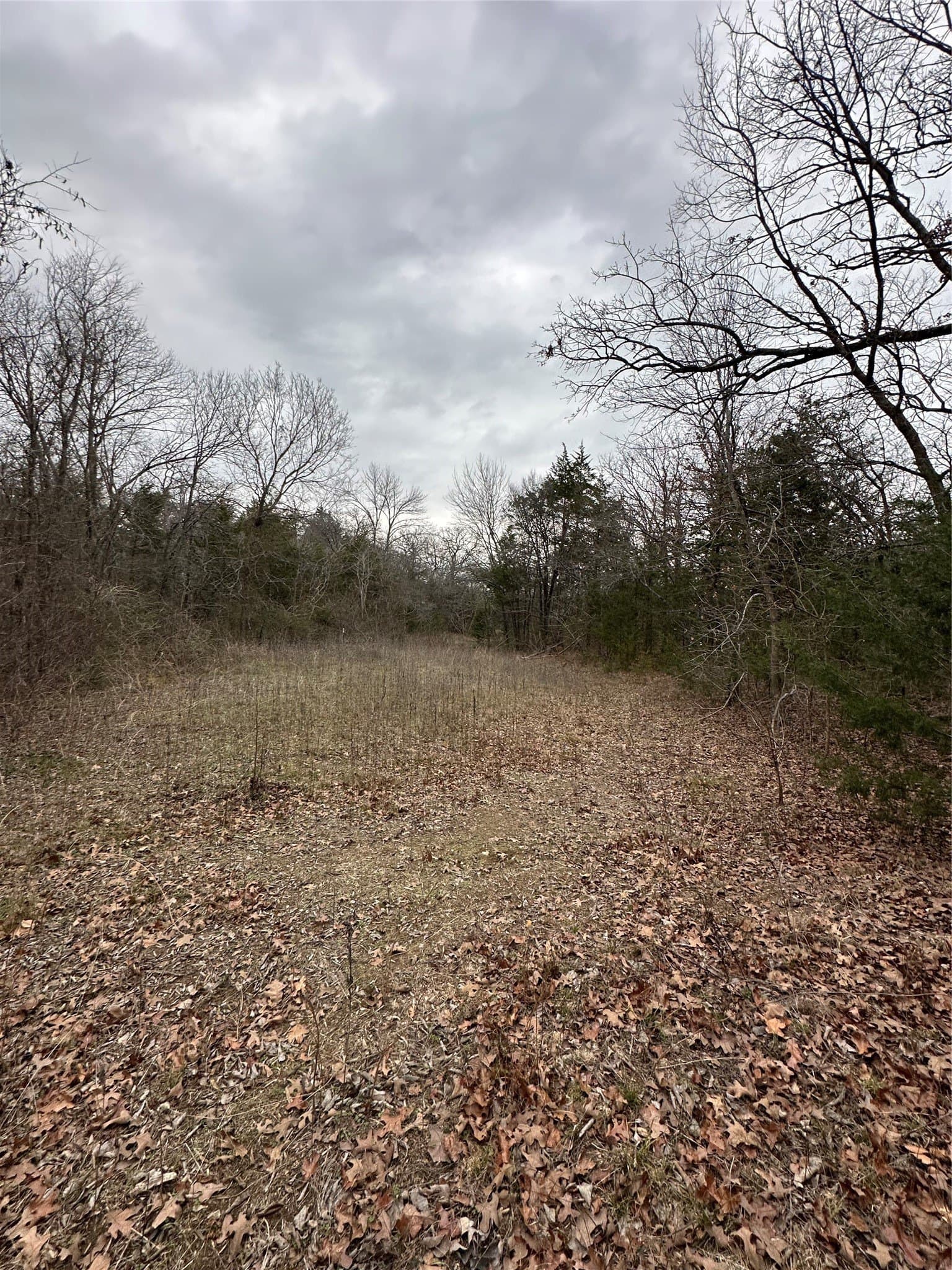0.17 acres in Grayson County - photo 9