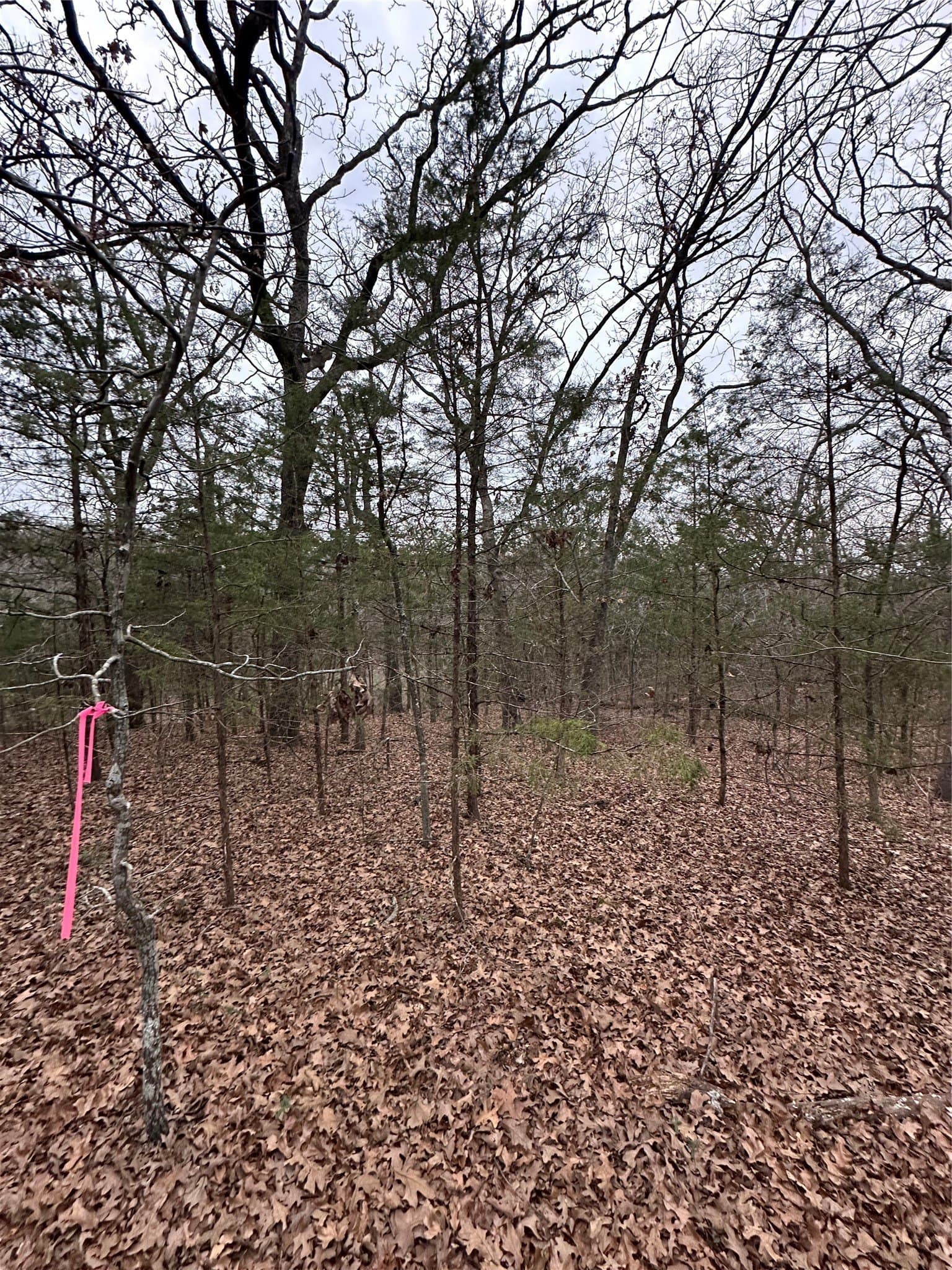 0.17 acres in Grayson County - photo 10