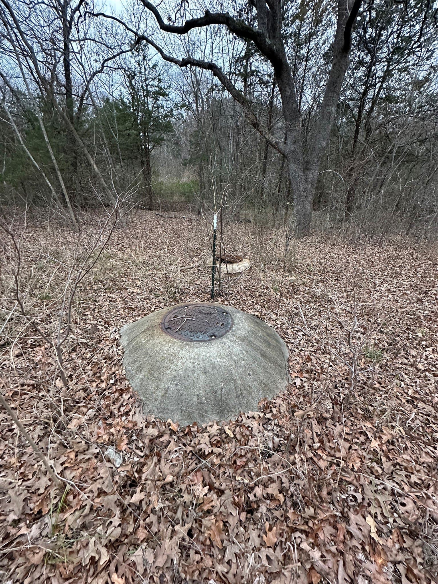 0.17 acres in Grayson County - photo 7