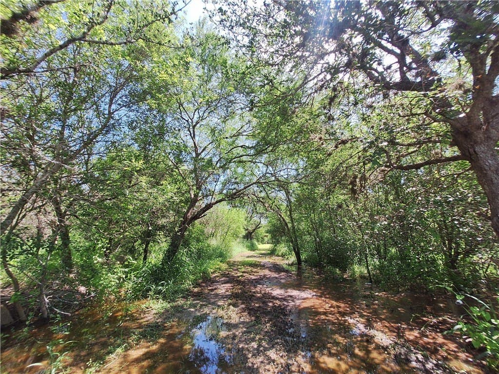 0.25 acres in Nueces County - photo 13